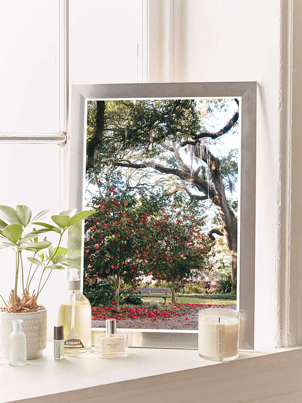 Camellia Square