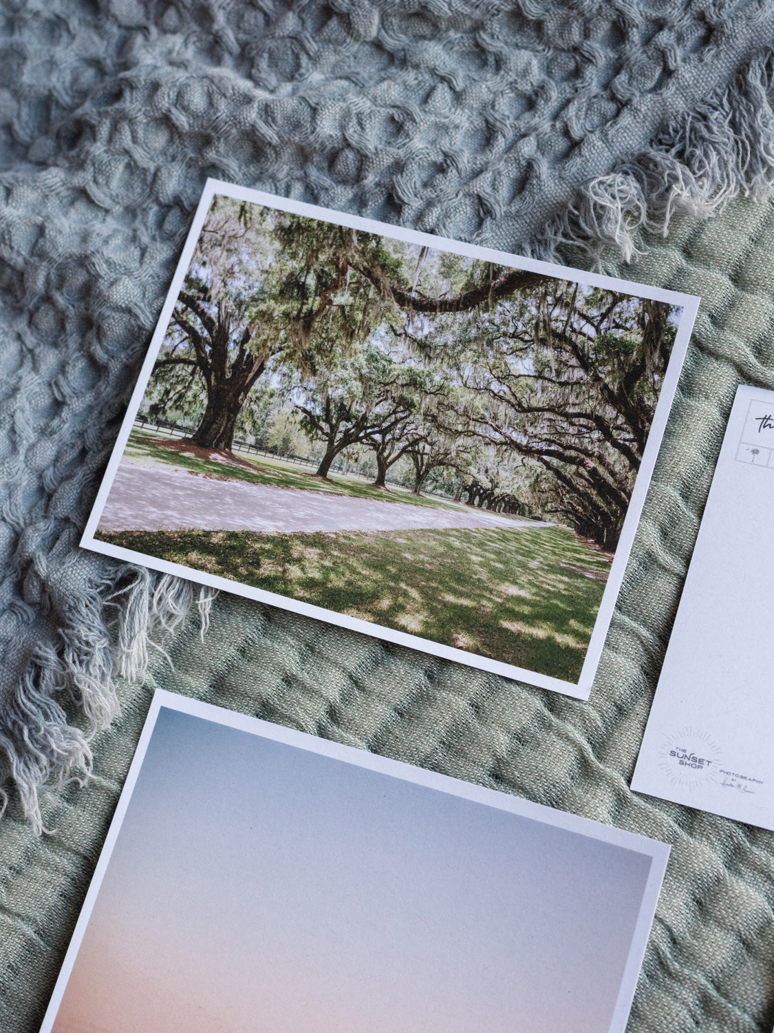 Boone Hall Charleston postcards. Printed on 100% recycled paper. Photographed by Charleston photographer Kristen M. Brown of Samba to the Sea for The Sunset Shop.