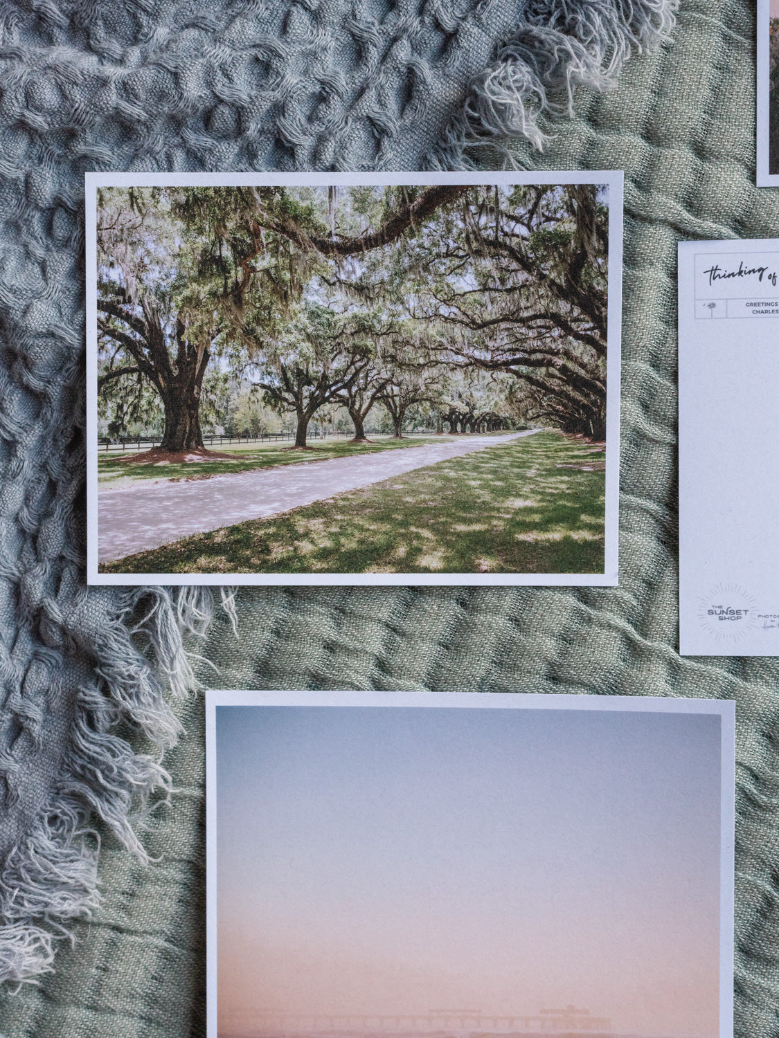 Boone Hall Charleston postcards. Printed on 100% recycled paper. Photographed by Charleston photographer Kristen M. Brown of Samba to the Sea for The Sunset Shop.