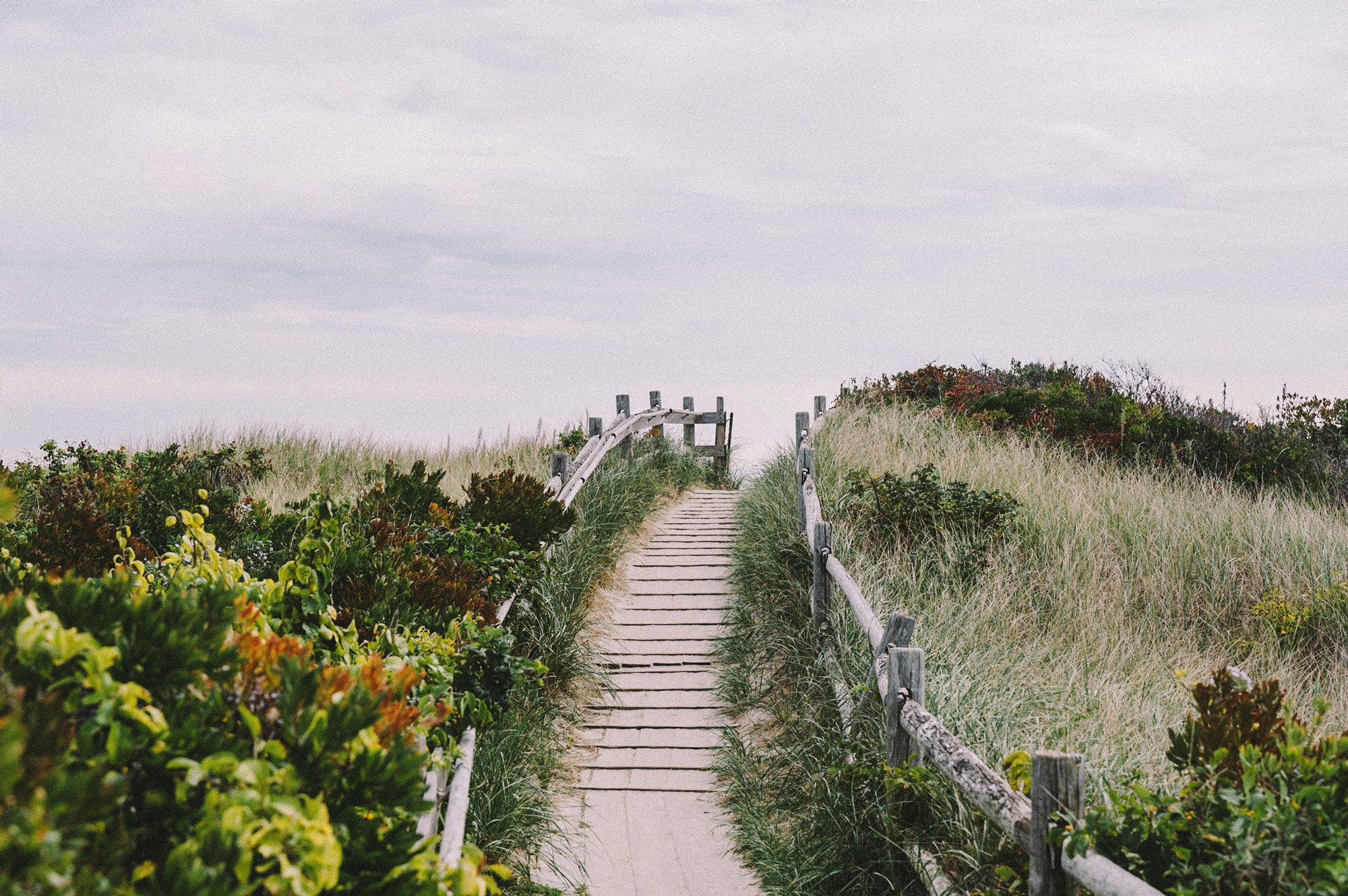 Beach path in New England. Photographed by Kristen M. Brown of Samba to the Sea.