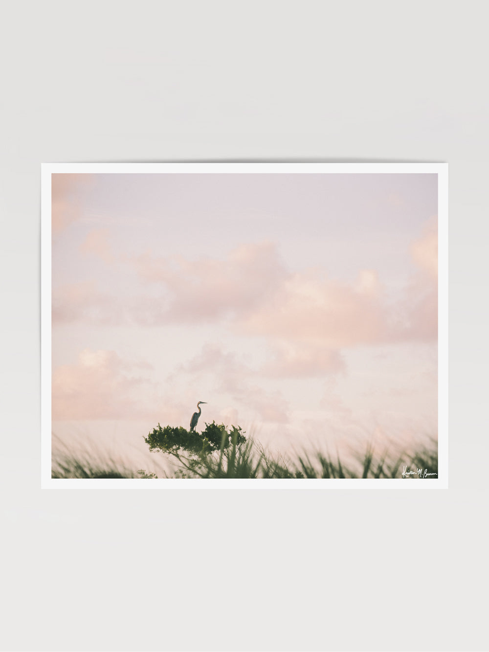 Photography print of Egret perched on ocean swept tree during a pastel pink sunrise sky in Kiawah, Charleston SC. "Egret en Rose" photographed by Kristen M. Brown, Samba to the Sea.