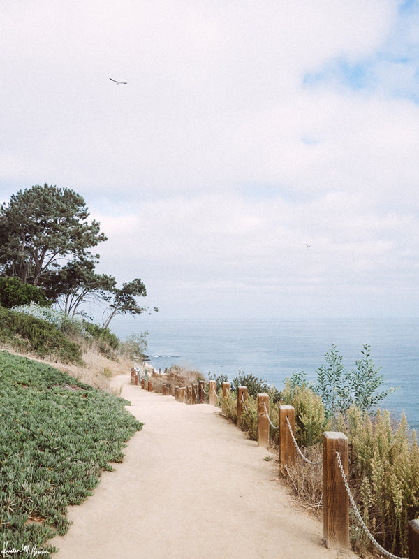 "Good Times and Coastlines" photo print of a beautiful morning coastal trail hike as the marine layer fades away in La Jolla, California by Kristen M. Brown of Samba to the Sea for The Sunset Shop.
