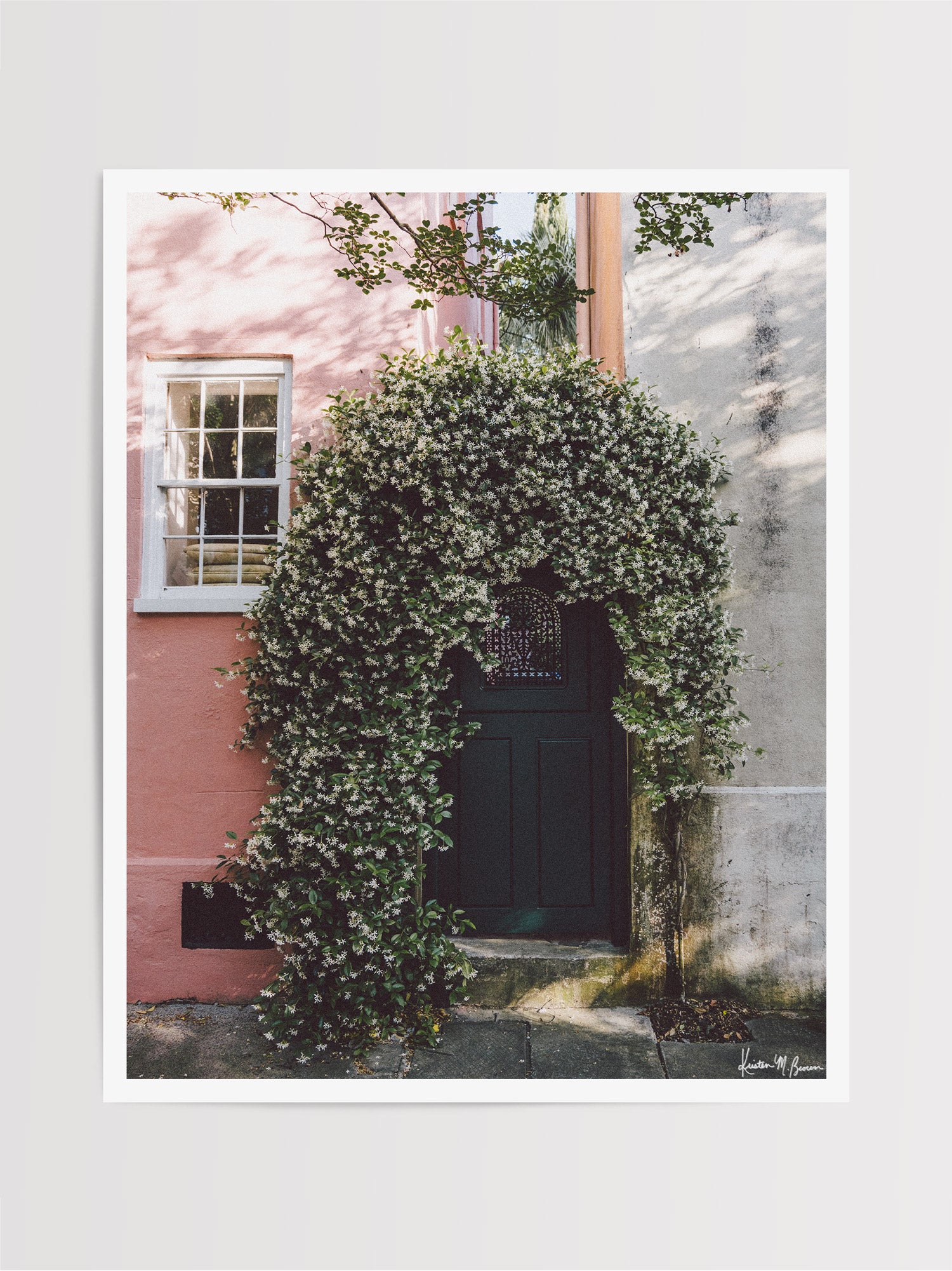 Come take a stroll through downtown Charleston during Jasmine season and your nose will lead you to lush jasmine blossoms just like this. Soft and fragrant petals framing the cutest of arched doorways, what lies behind is one of Charleston's serene, secret gardens. "Jasmine Secrets" Photo print by Kristen M. Brown of Samba to the Sea for The Sunset Shop.