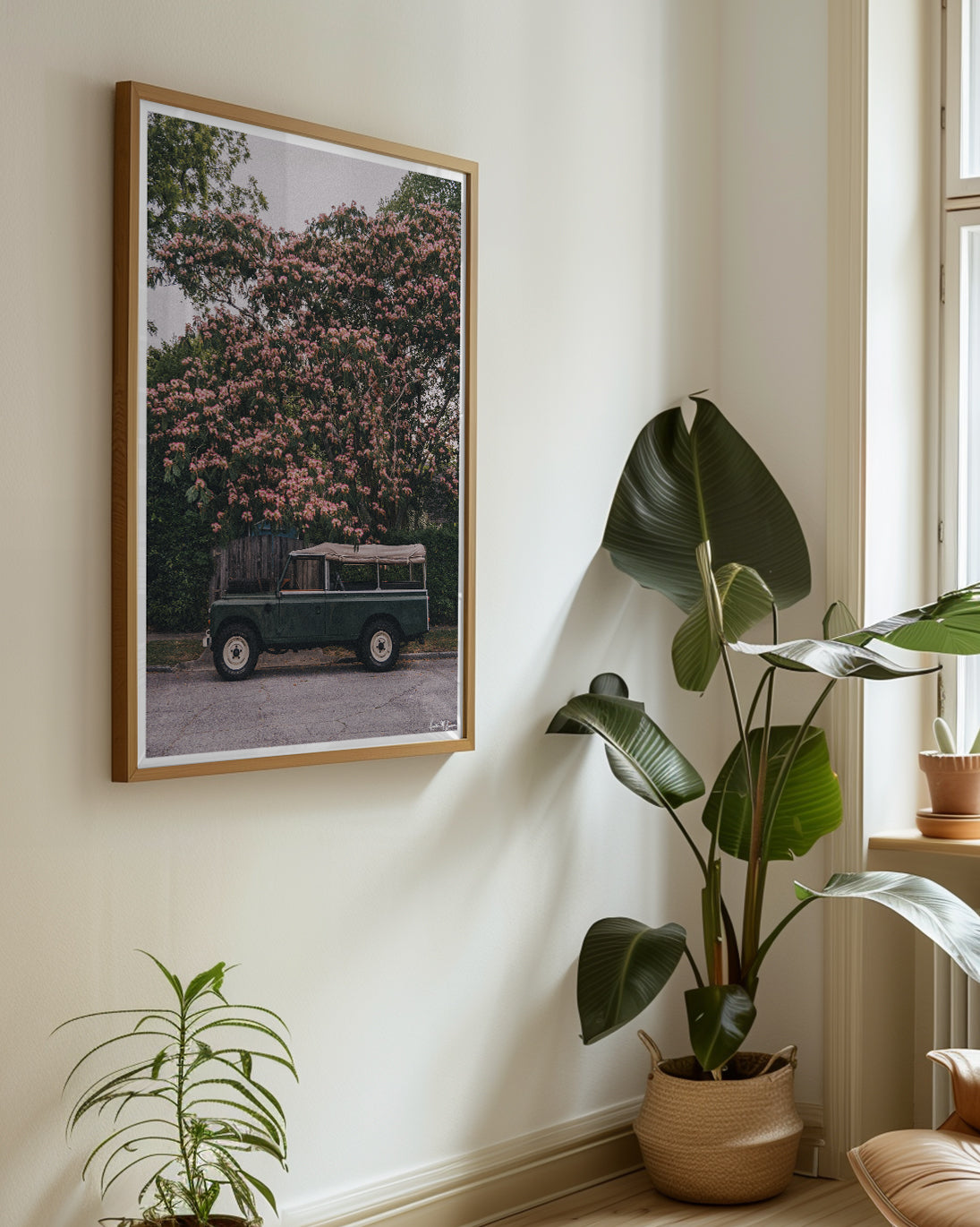 Framed art print of a vintage green safari-style Land Rover with a beige canvas top parked under a blooming pink Mimosa tree. Perfectly parked under a blooming Mimosa tree, "Mimosa Rover" is a dreamlike pitstop on a warm Lowcountry afternoon. It's an effortless blend of adventure and elegance, where British expedition heritage meets the gentle charm of the American South. Vintage Land Rover series 110 truck photo print by Kristen M. Brown of Samba to the Sea for The Sunset Shop.
