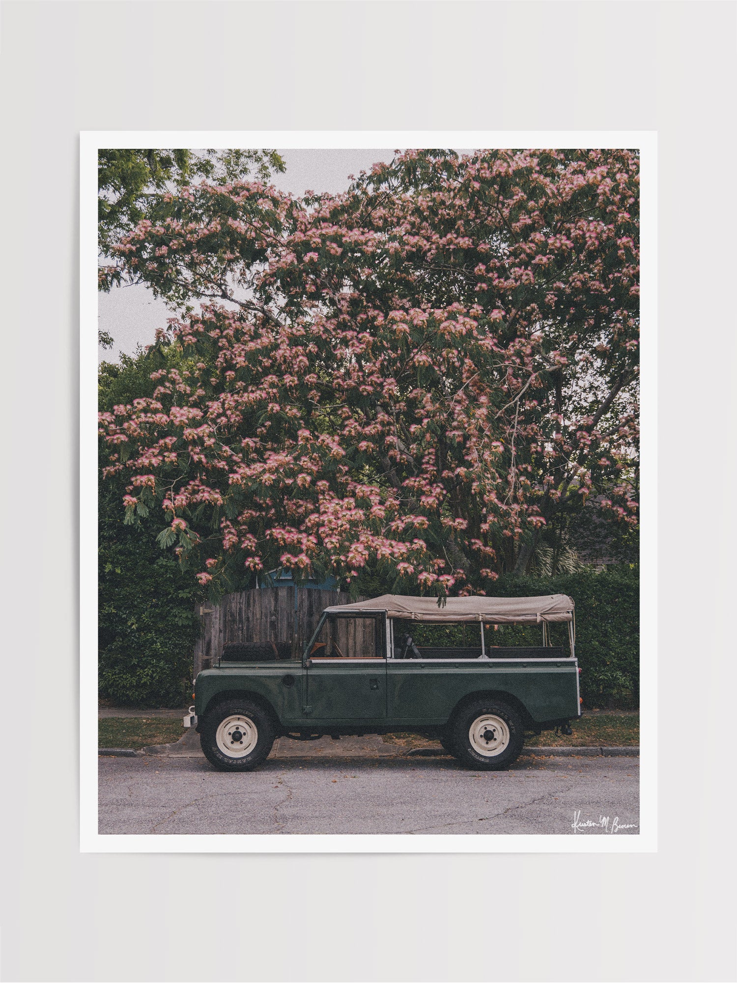 A vintage green safari-style Land Rover with a beige canvas top parked under a blooming pink Mimosa tree. Perfectly parked under a blooming Mimosa tree, "Mimosa Rover" is a dreamlike pitstop on a warm Lowcountry afternoon. It's an effortless blend of adventure and elegance, where British expedition heritage meets the gentle charm of the American South. Vintage Land Rover series 110 truck photo print by Kristen M. Brown of Samba to the Sea for The Sunset Shop.