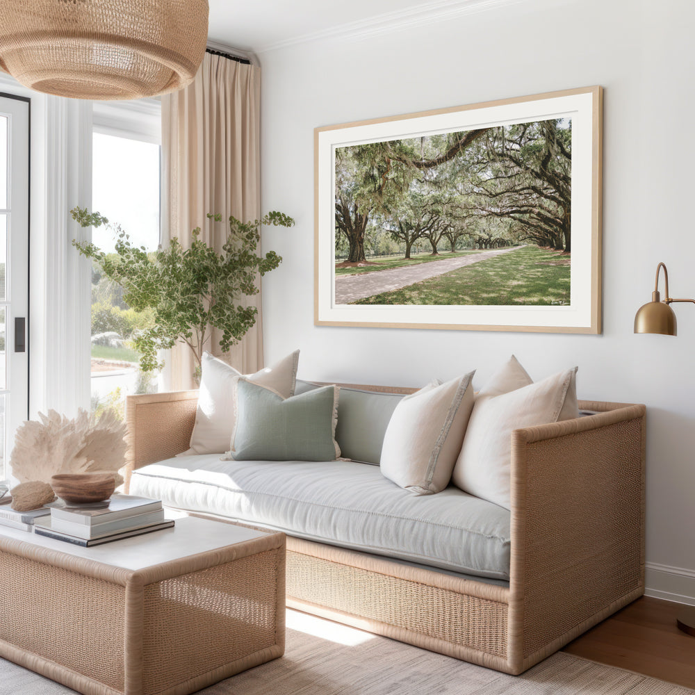 Photography of live Oaks dripping with Spanish moss at Boone Hall in Charleston. Hung in coastal living room. "Oak Avenue" photographed by Kristen M. Brown, Samba to the Sea.