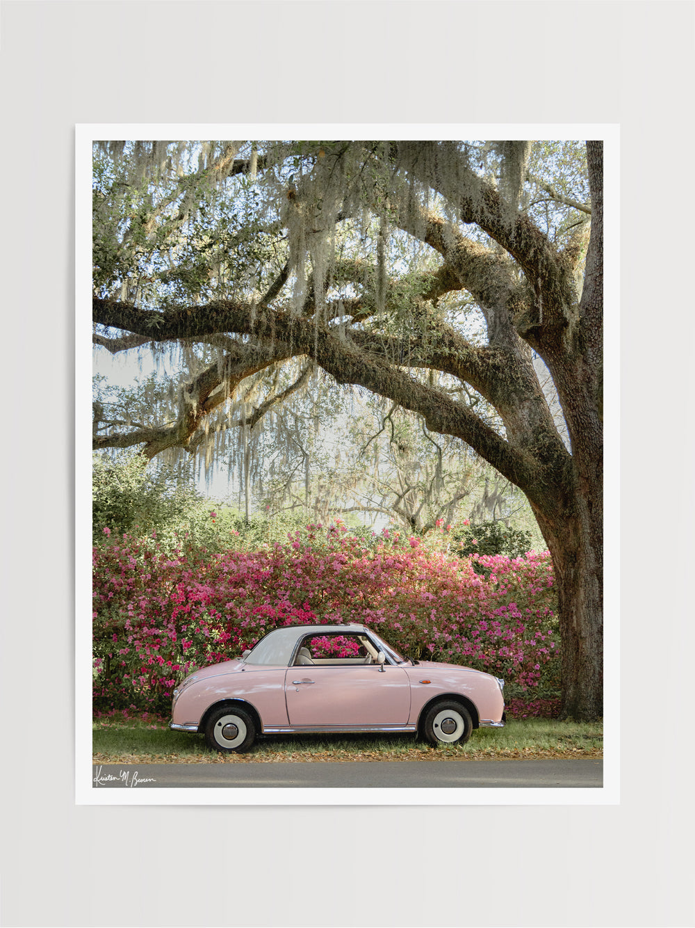Photography print of a pastel pink Figaro perfectly parked with blooming pink and magenta azaleas under an Oak tree in Charleston. “Pretty In Pink Blooming” photographed by Kristen M. Brown, Samba to the Sea.