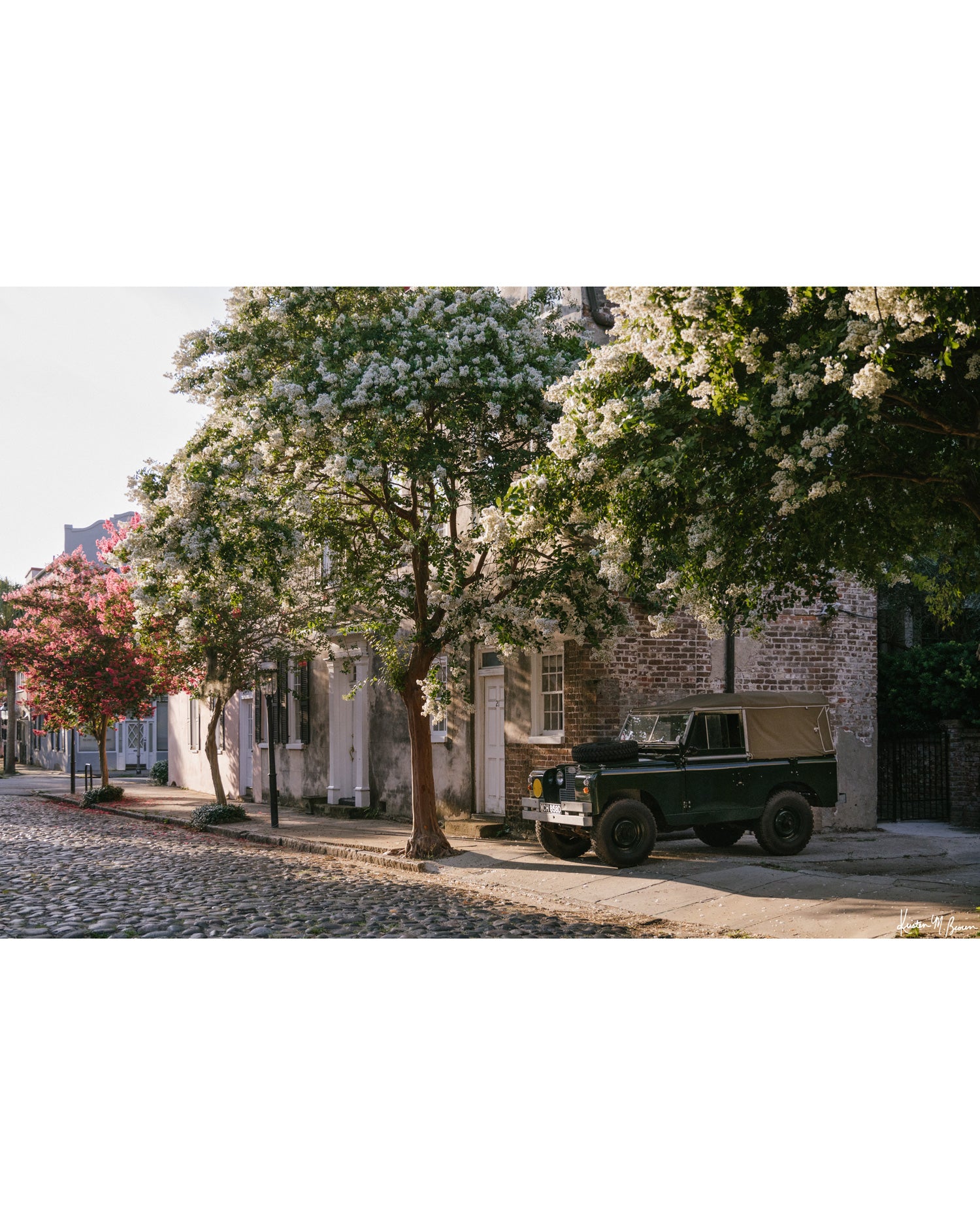 A vintage green Land Rover Series truck British Army version with tan canvas top, parked on a cobblestone street in historic Charleston with blooming white Crepe Myrtle flowers. “Rover Blooms” is a journey into the charming streets of historic Charleston, where beauty and nostalgia meet. Vintage Land Rover photo print by Kristen M. Brown of Samba to the Sea for The Sunset Shop.