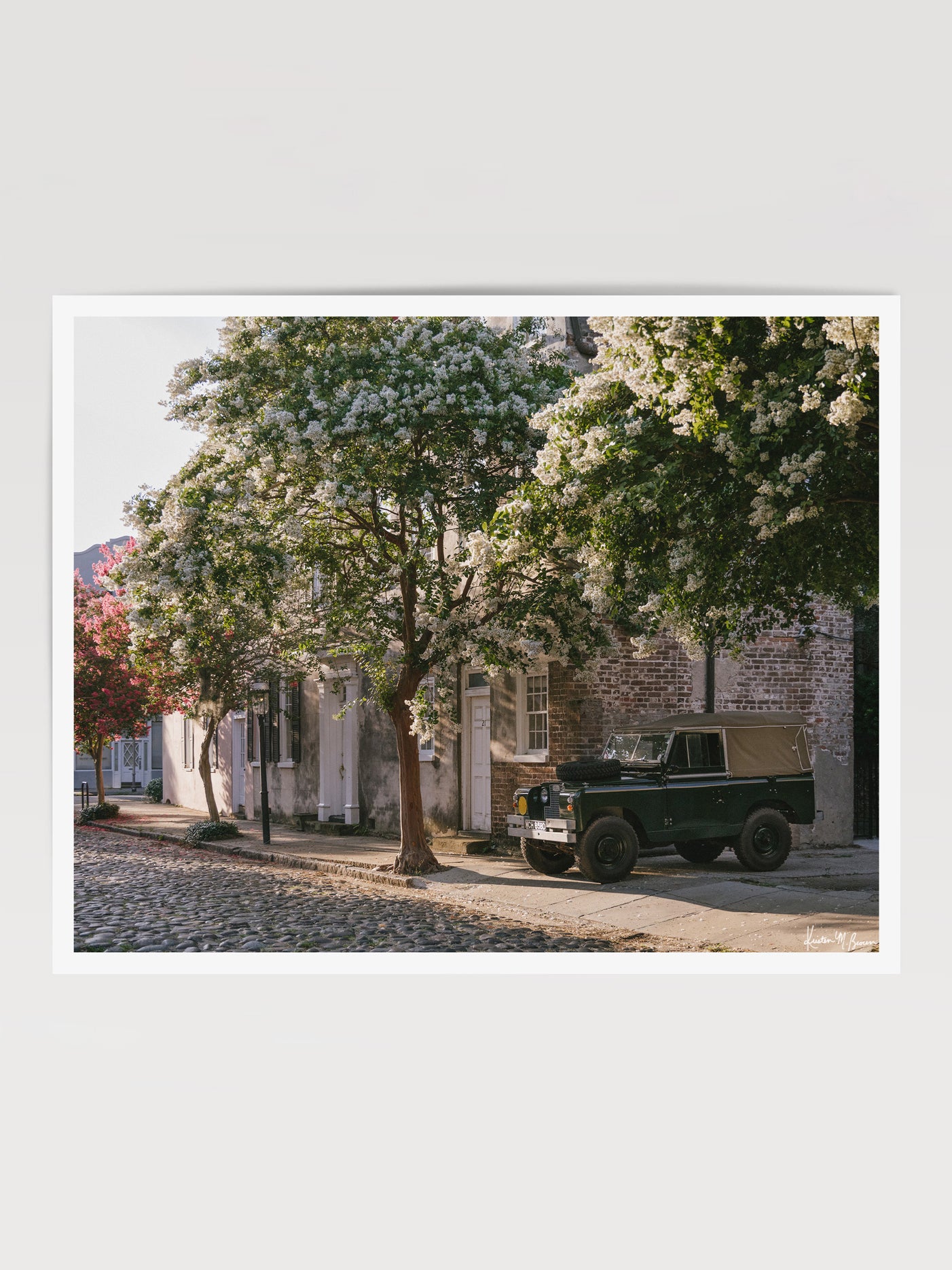 A vintage green Land Rover Series truck British Army version with tan canvas top, parked on a cobblestone street in historic Charleston with blooming white Crepe Myrtle flowers. “Rover Blooms” is a journey into the charming streets of historic Charleston, where beauty and nostalgia meet. Vintage Land Rover photo print by Kristen M. Brown of Samba to the Sea for The Sunset Shop.