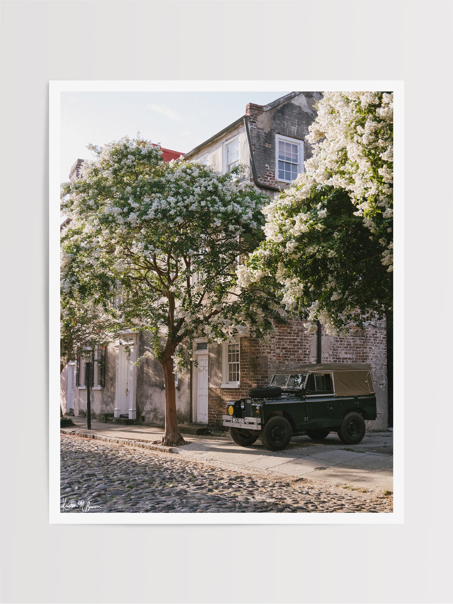 A vintage green Land Rover Series truck British Army version with tan canvas top, parked on a cobblestone street in historic Charleston with blooming white Crepe Myrtle flowers. “Rover Blooms” is a journey into the charming streets of historic Charleston, where beauty and nostalgia meet. Vintage Land Rover photo print by Kristen M. Brown of Samba to the Sea for The Sunset Shop.