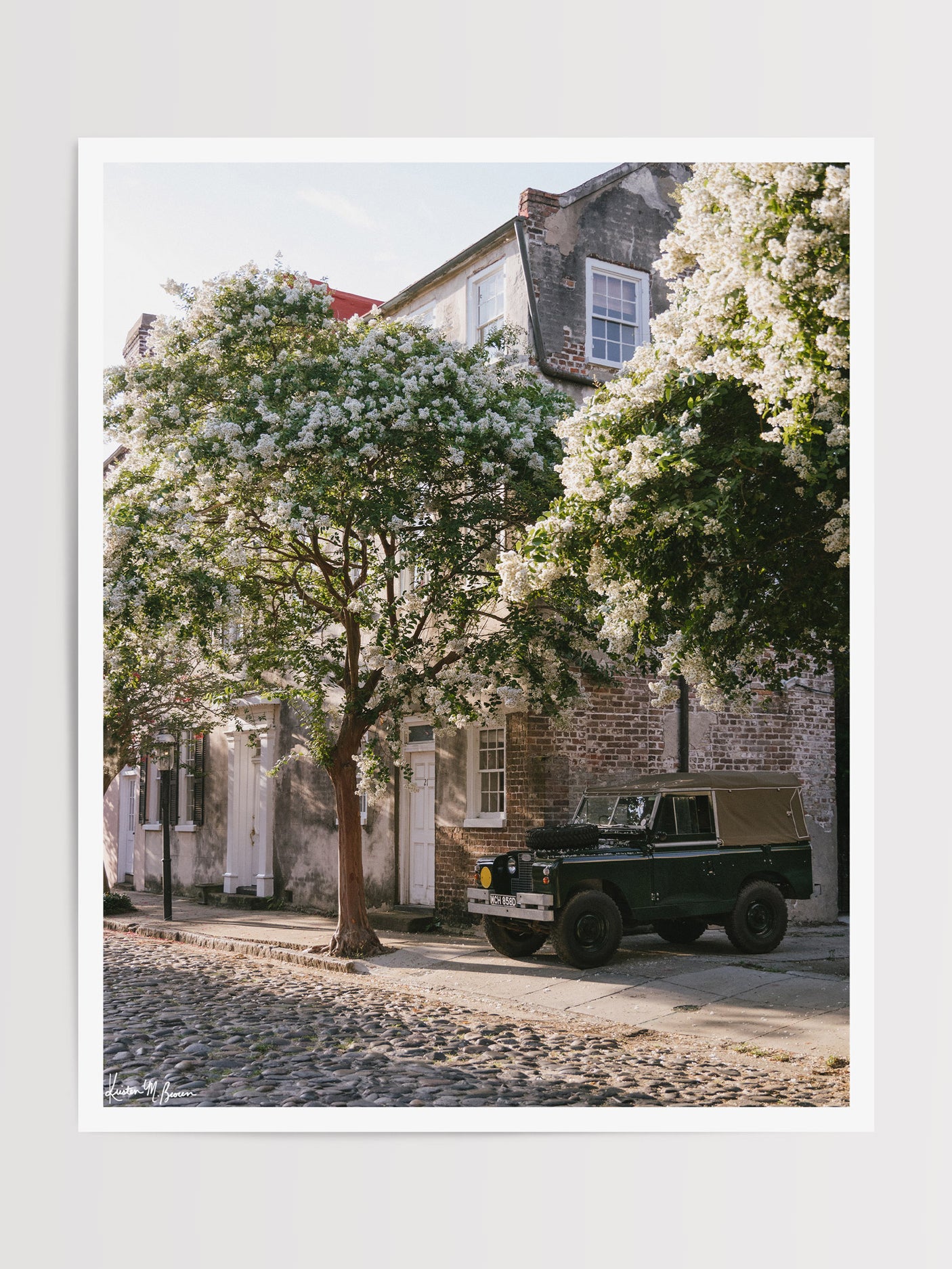 A vintage green Land Rover Series truck British Army version with tan canvas top, parked on a cobblestone street in historic Charleston with blooming white Crepe Myrtle flowers. “Rover Blooms” is a journey into the charming streets of historic Charleston, where beauty and nostalgia meet. Vintage Land Rover photo print by Kristen M. Brown of Samba to the Sea for The Sunset Shop.
