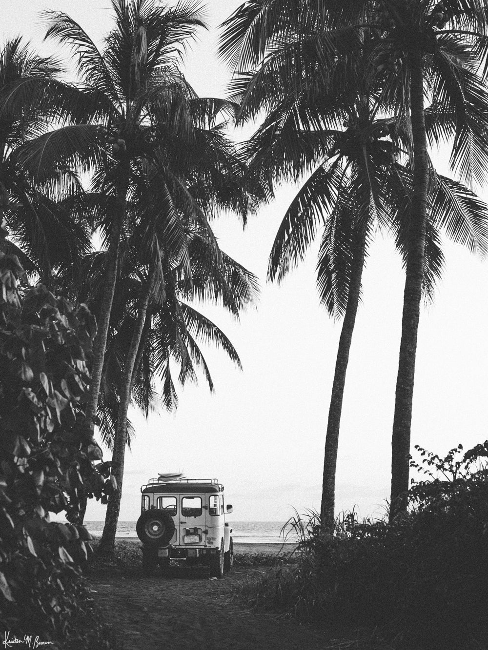 Down a hidden dirt road lies a dreamy, peeling wave that only you and your surf amigo/a know about. A perfect point break made for two. You hear a new swell is on the way, so you hop in your vintage Land Cruiser, pick up your buddy, and surf the day away with no one else out. Welcome back to your surf dream, all from the comfort of your home...wherever home may be. šš“š "Secret Spot" black and white palm tree + surfboard photo print in Costa Rica by Kristen M. Brown of Samba to the Sea for The Sunset Shop