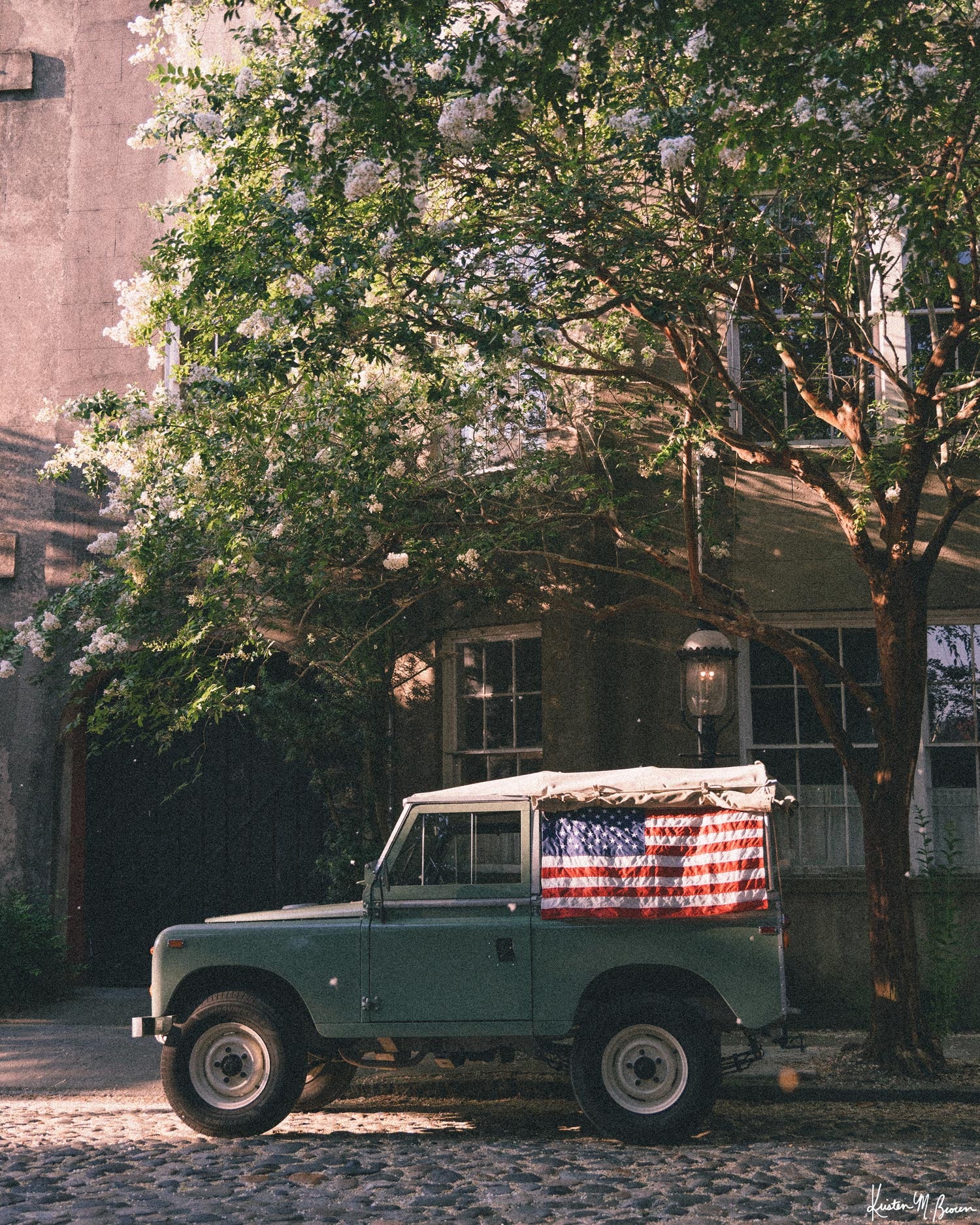A vintage green Land Rover Series with an American flag draped over the rear window, parked on a cobblestone street in historic Charleston with blooming white Crepe Myrtle flowers. "Stars & Stripes & Series" is a journey into the charming streets of historic Charleston, where beauty and nostalgia meet. Vintage Land Rover photo print by Kristen M. Brown of Samba to the Sea for The Sunset Shop.