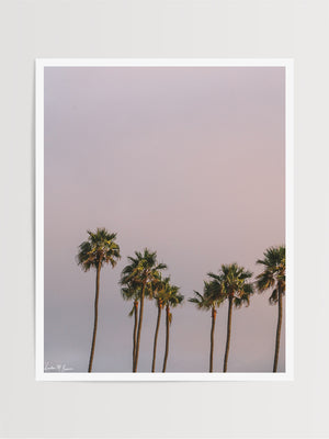 Palm trees sunset sky over Swami’s in Encinitas, California. “Swamis Sunset” palm tree sunset sky photo print by Kristen M. Brown of Samba to the Sea for The Sunset Shop.