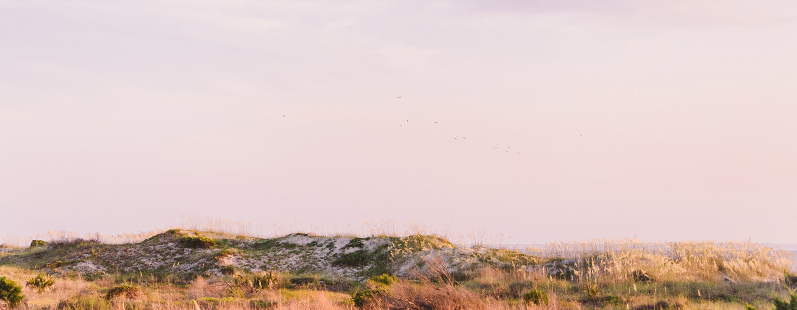 Pastel sunrise sky over the Tybee Island Sand Dunes. Photographed by Kristen M. Brown of Samba to the Sea for The Sunset Shop.
