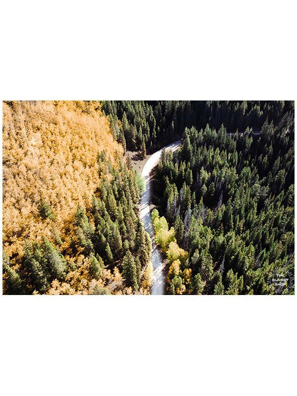 Aerial image of golden Aspens at Boreas Pass in Breckenridge, Colorado. "Chasing Gold" aerial image print by Kristen M. Brown, Samba to the Sea.