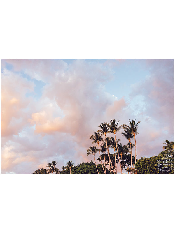 Palm trees swaying in the ocean breeze with a cotton candy pastel sunset sky in Costa Rica. Photographed by Samba to the Sea for The Sunset Shop.