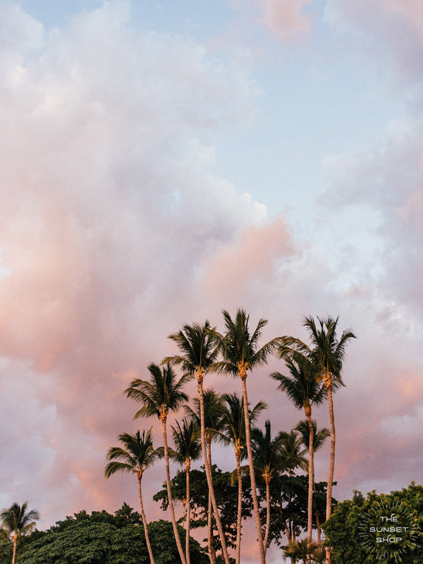 Palm trees swaying in the ocean breeze with a cotton candy pastel sunset sky in Costa Rica. Photographed by Samba to the Sea for The Sunset Shop.