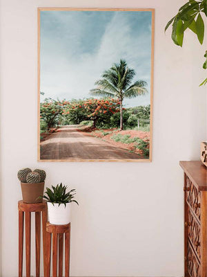 Palm tree photo print. Dirt road adventures in Costa Rica. Malinche trees in bloom with red flowers in Costa Rica. Print at The Sunset Shop by Samba to the Sea.