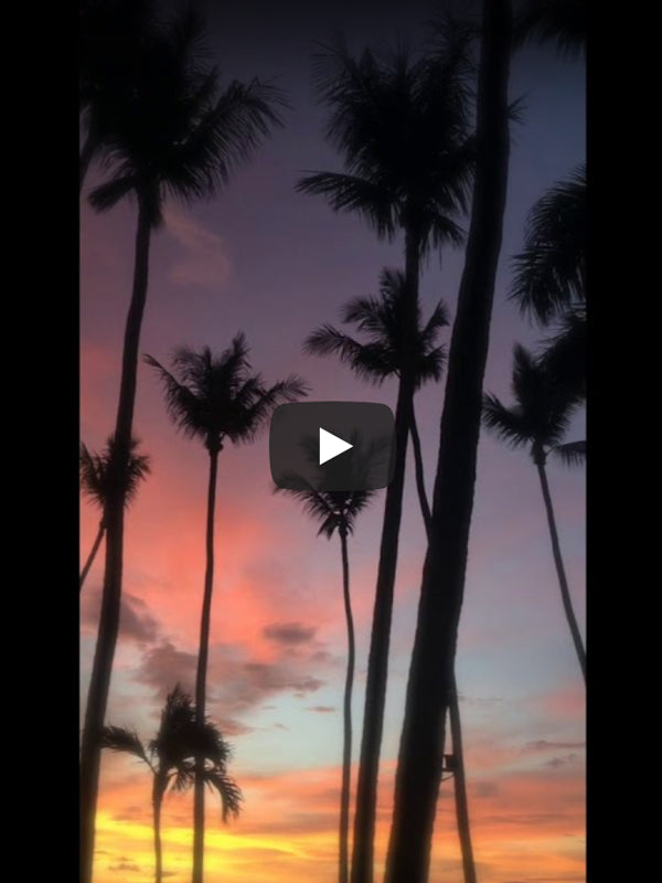 <iframe width="560" height="315" src="https://www.youtube.com/embed/TZ52w1C6A24" frameborder="0" allow="accelerometer; autoplay; encrypted-media; gyroscope; picture-in-picture" allowfullscreen></iframe>