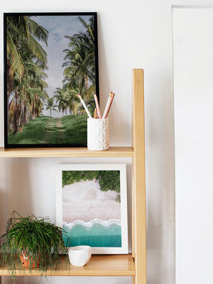 Coastal wall art shelfies. Book shelf with tropical photographs. Palm tree print at The Sunset Shop by Samba to the Sea.