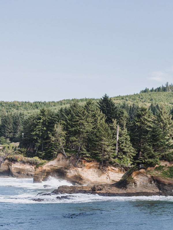 Beautiful Oregon Coast on a sunny day. Pocket Full of Sunshine print by Kristen M. Brown Samba to the Sea for The Sunset Shop.