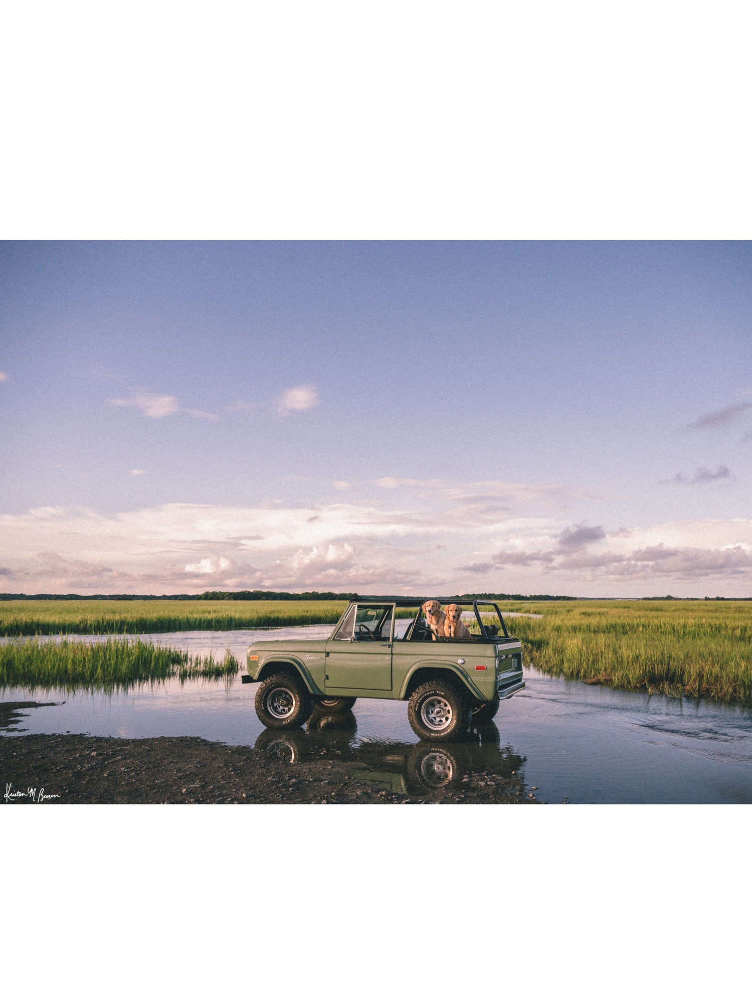Photographic art print featuring a vintage green Ford Bronco along the marsh landscape under a pale blue sky with golden retrievers dogs waiting for an adventure. Lowcountry golden hours hit different when you’ve got four-wheel drive, a tailgate full of tail wags, and nowhere you’d rather be. "Best Friends and Bronco Rides" photo print of golden retrievers waiting for you to hop in a vintage Bronco to start the afternoon adventure along the marsh in Charleston, SC. Photograph by Kristen M. Brown.