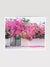 Fine art photo print of a vibrant Bougainvillea blooming over a white wall and black iron gate. You can’t help but smell the ocean air and feel the warmth of the sun on your skin with one glance at this gorgeous blooming Bougainvillea in vibrants shades of pink, magenta, and yellow. Welcome back to your tropical paradise. "Bloom Baby Bloom" blooming Bougainvillea print by Samba to the Sea.