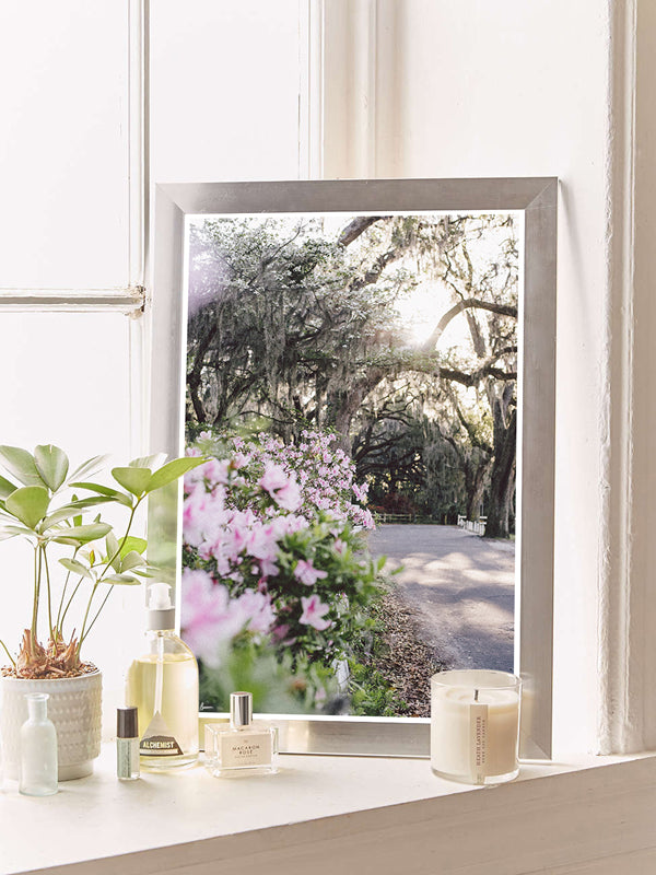 Bluff Drive Blooming