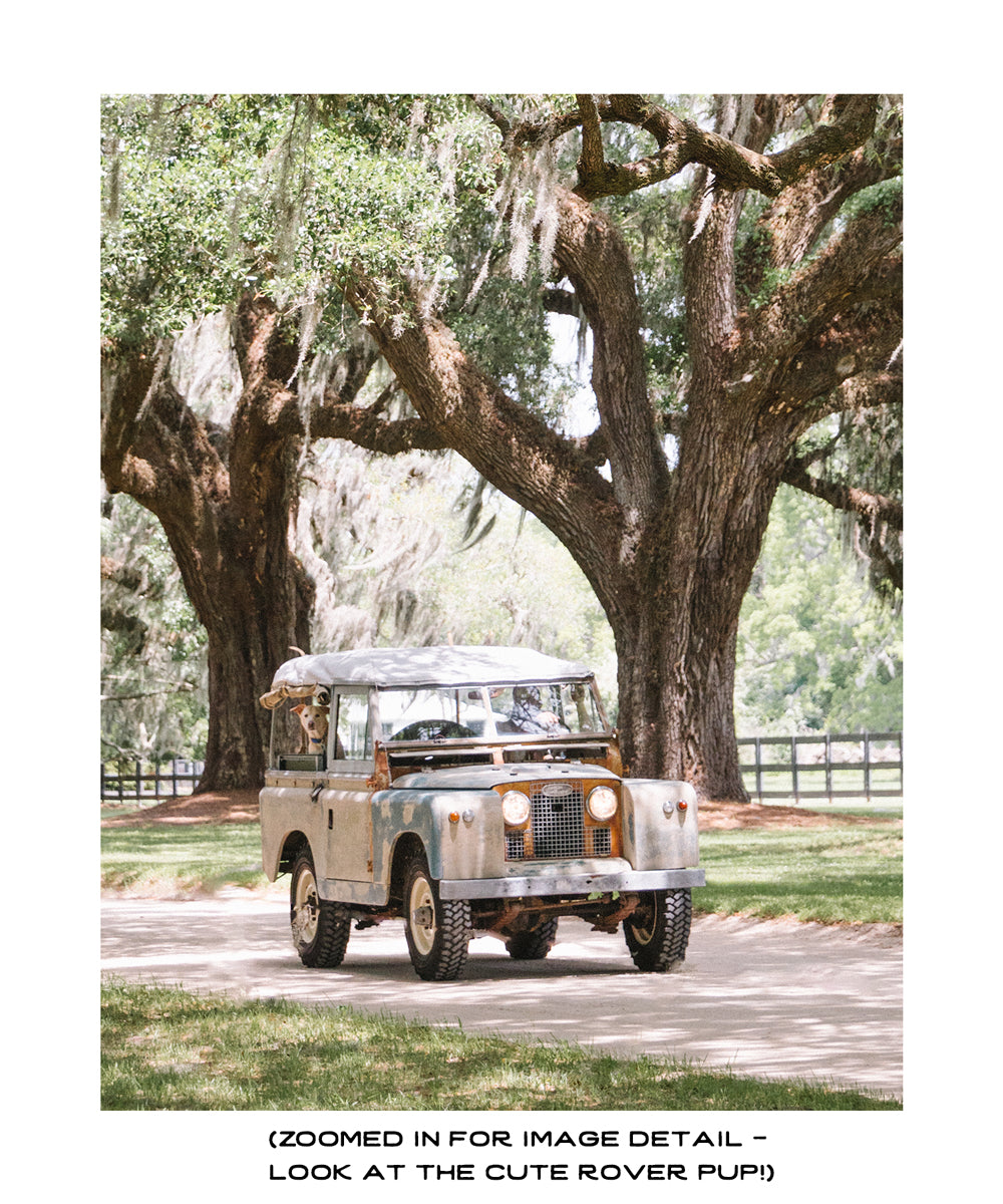 It's a gorgeous spring day, your dog is riding shotgun, and your out for a ride, cruising under majestic Live Oak trees dripping with Spanish moss in your classic Land Rover Series ii. Yes, these are days you live for. Land Rover Series ii in Charleston photo print by Kristen M. Brown of Samba to the Sea for The Sunset Shop.