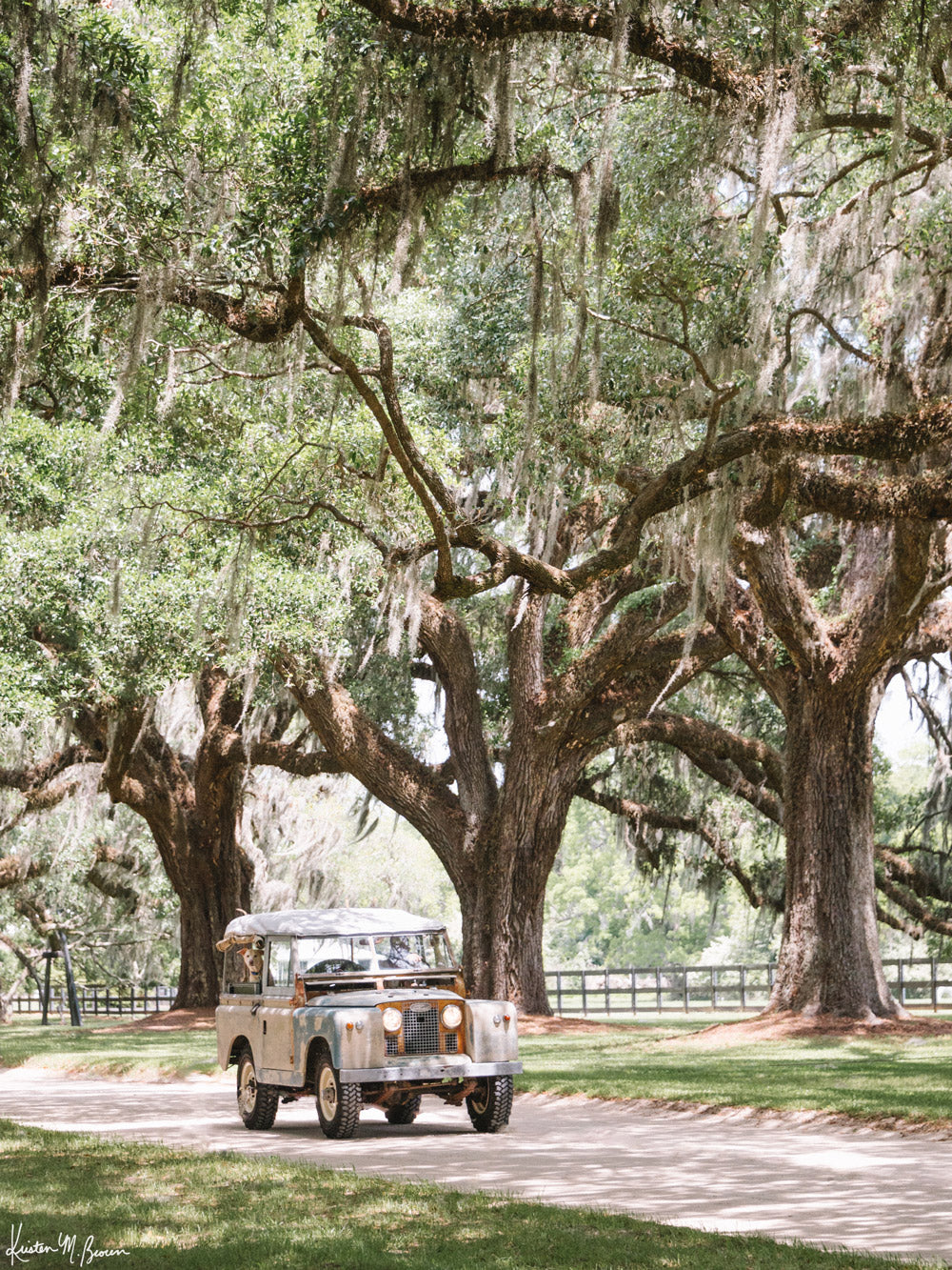 It&#39;s a gorgeous spring day, your dog is riding shotgun, and your out for a ride, cruising under majestic Live Oak trees dripping with Spanish moss in your classic Land Rover Series ii. Yes, these are days you live for. Land Rover Series ii in Charleston photo print by Kristen M. Brown of Samba to the Sea for The Sunset Shop.