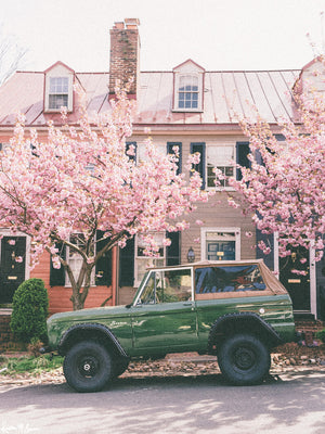 There's just something about the Ford Bronco that an adventure is about to happen. Especially when that vintage Bronco is perfectly parked under beautifully blooming Cherry Blossom trees! So what are you waiting for? Hop on in city slicker and let's take a spring road trip to the beach! Welcome back to your beach roadtrip daydreams, all from the comfort of your home...wherever that home may be with this photo print "Bronco Blossoms". Photographed by Kristen M. Brown of Samba to the Sea for The Sunset Shop.