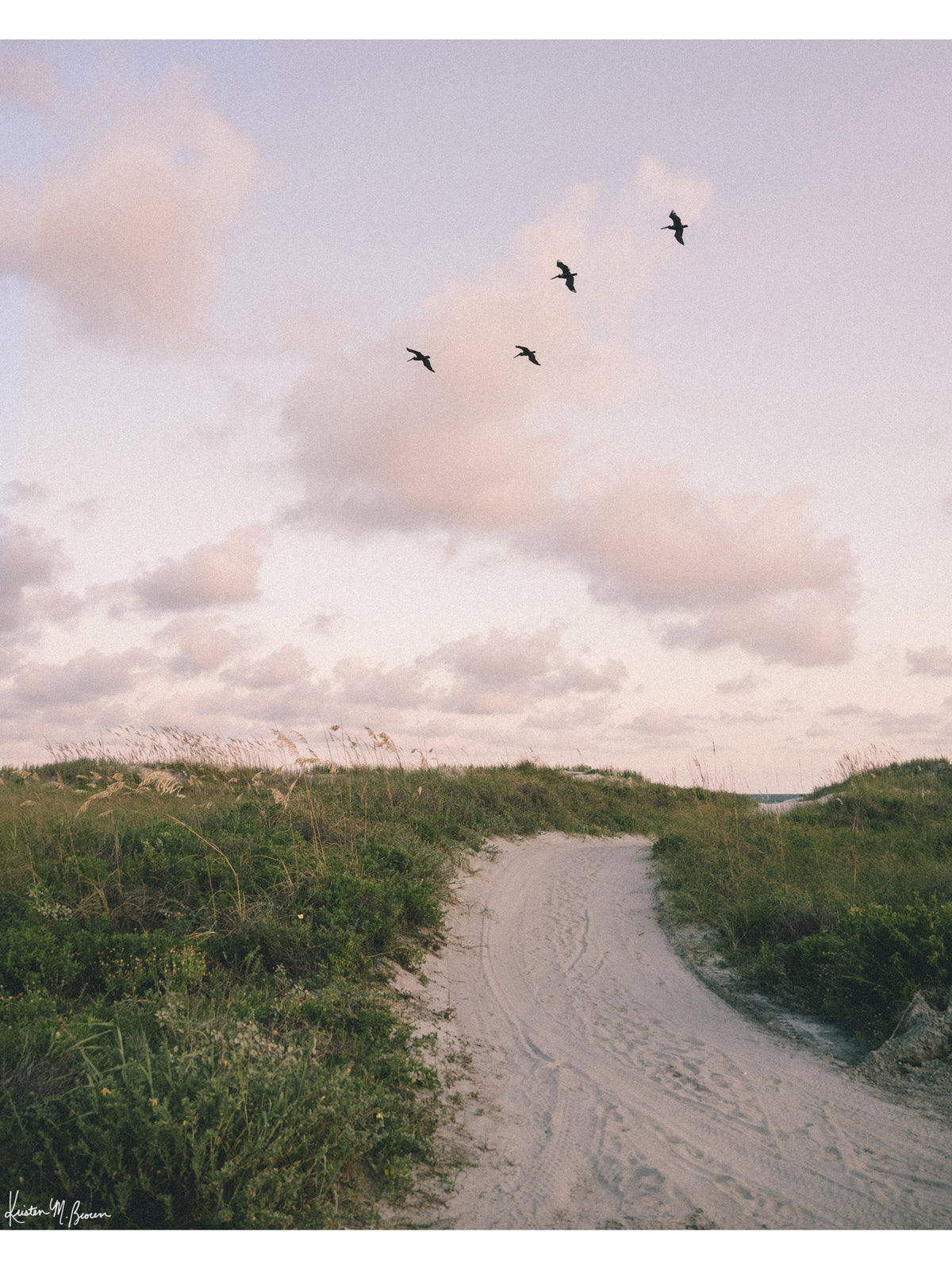 Bring home that feeling of the warm ocean breeze flowing through your hair, the soft pastel evening light, and the gentle, timeless magic of the shoreline at day's end with "Cloud Patrol". Sunset beach photo print with soaring pelicans in Charleston, SC by Kristen M. Brown of Samba to the Sea for The Sunset Shop.