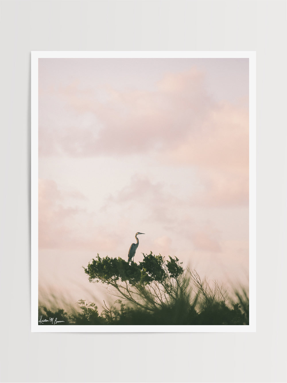 Photography print of Egret perched on ocean swept tree during a pastel pink sunrise sky in Kiawah, Charleston SC. "Egret en Rose" photographed by Kristen M. Brown, Samba to the Sea.