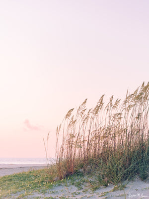 "Feels Like Summer" Tybee Beach sunrise photograph. Pastel sunrise over the sea oats and sand dunes in Tybee Island, Georgia. Photographed by Kristen M. Brown of Samba to the Sea for The Sunset Shop.
