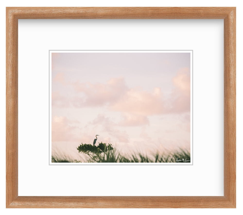 Egret en Rose - Framed 8"x10" print @ Harvest Freshfields