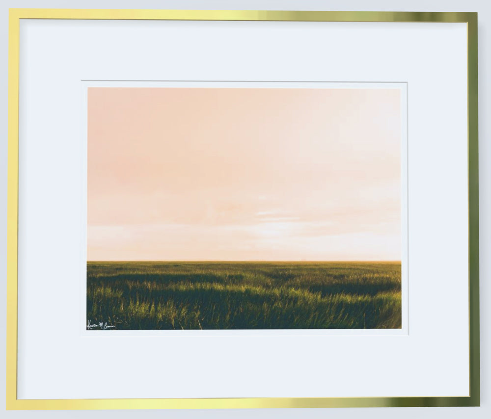 Marsh Dreaming - Framed 11"x14" print @ Java Java Freshfields