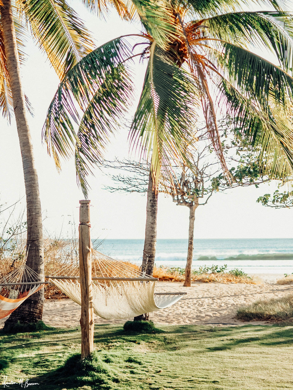 Ocean view hammock under palm trees in Costa Rica. Beach print at The Sunset Shop by Samba to the Sea.