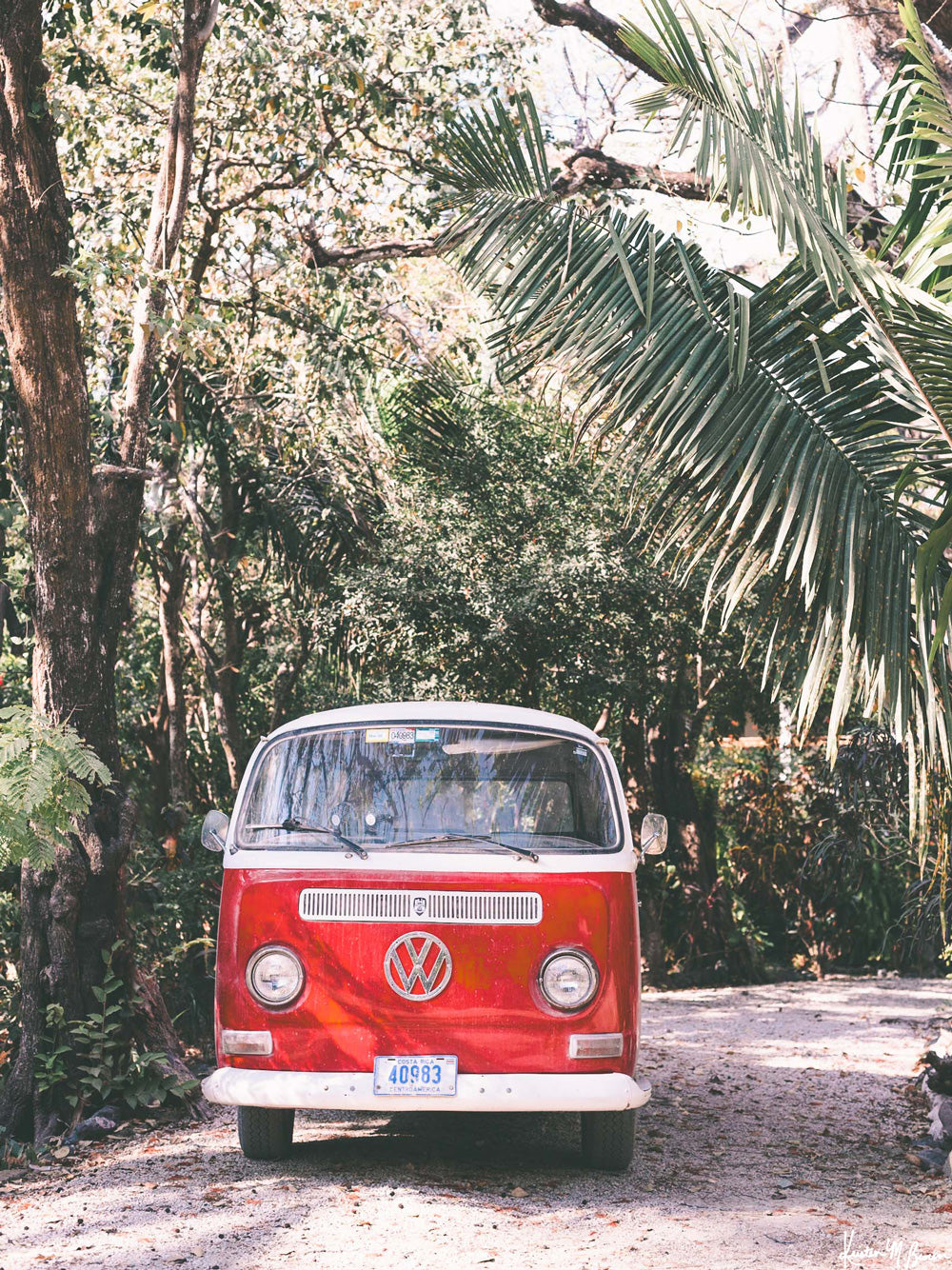 Tropical red VW bus print in Nosara, Costa Rica. "Jingle Bus" print by Kristen M. Brown, Samba to the Sea.