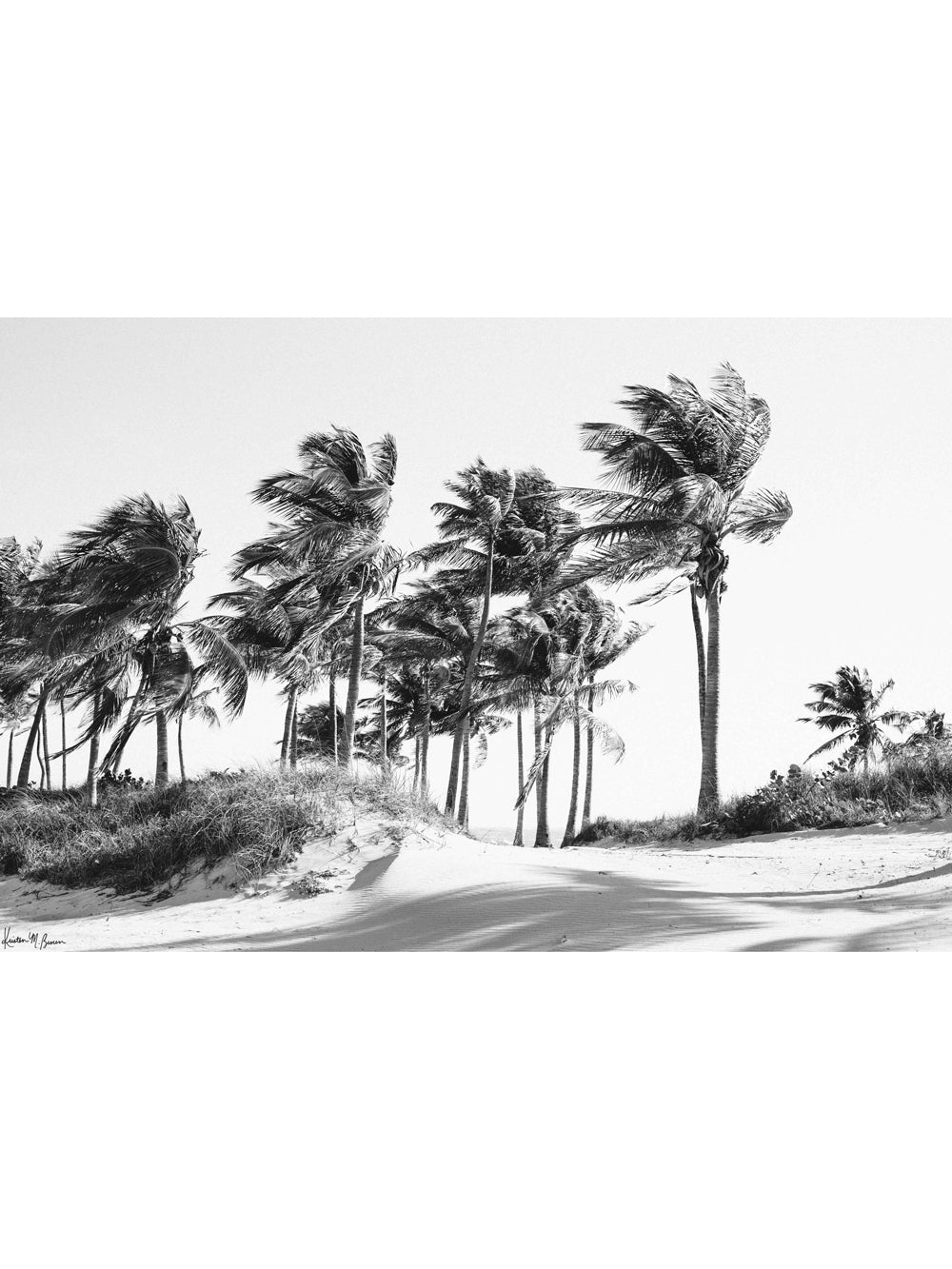 Close your eyes and transport yourself to a gorgeous tropical beach with dancing, palm trees in the sea breeze during your morning beach walk. &quot;Key Biscayne Dreaming&quot; black and white palm trees photo print in Miami, Florida by Kristen M. Brown of Samba to the Sea for The Sunset Shop.