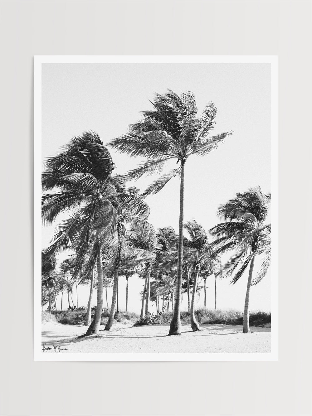Close your eyes and transport yourself to a gorgeous tropical beach with dancing, palm trees in the sea breeze during your morning beach walk. "Key Biscayne Dreaming" black and white palm trees photo print in Miami, Florida by Kristen M. Brown of Samba to the Sea for The Sunset Shop.