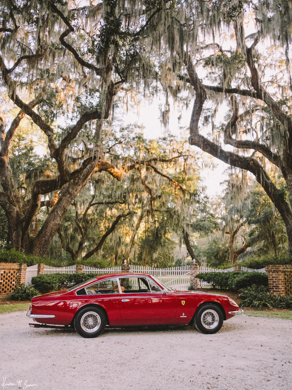 Gorgeous classic Ferrari 365 parked under the Live Oak trees in the Lowcountry of Savannah, Georgia. Photographed by Kristen M. Brown of Samba to the Sea.
