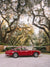 Gorgeous classic Ferrari 365 parked under the Live Oak trees in the Lowcountry of Savannah, Georgia. Photographed by Kristen M. Brown of Samba to the Sea.