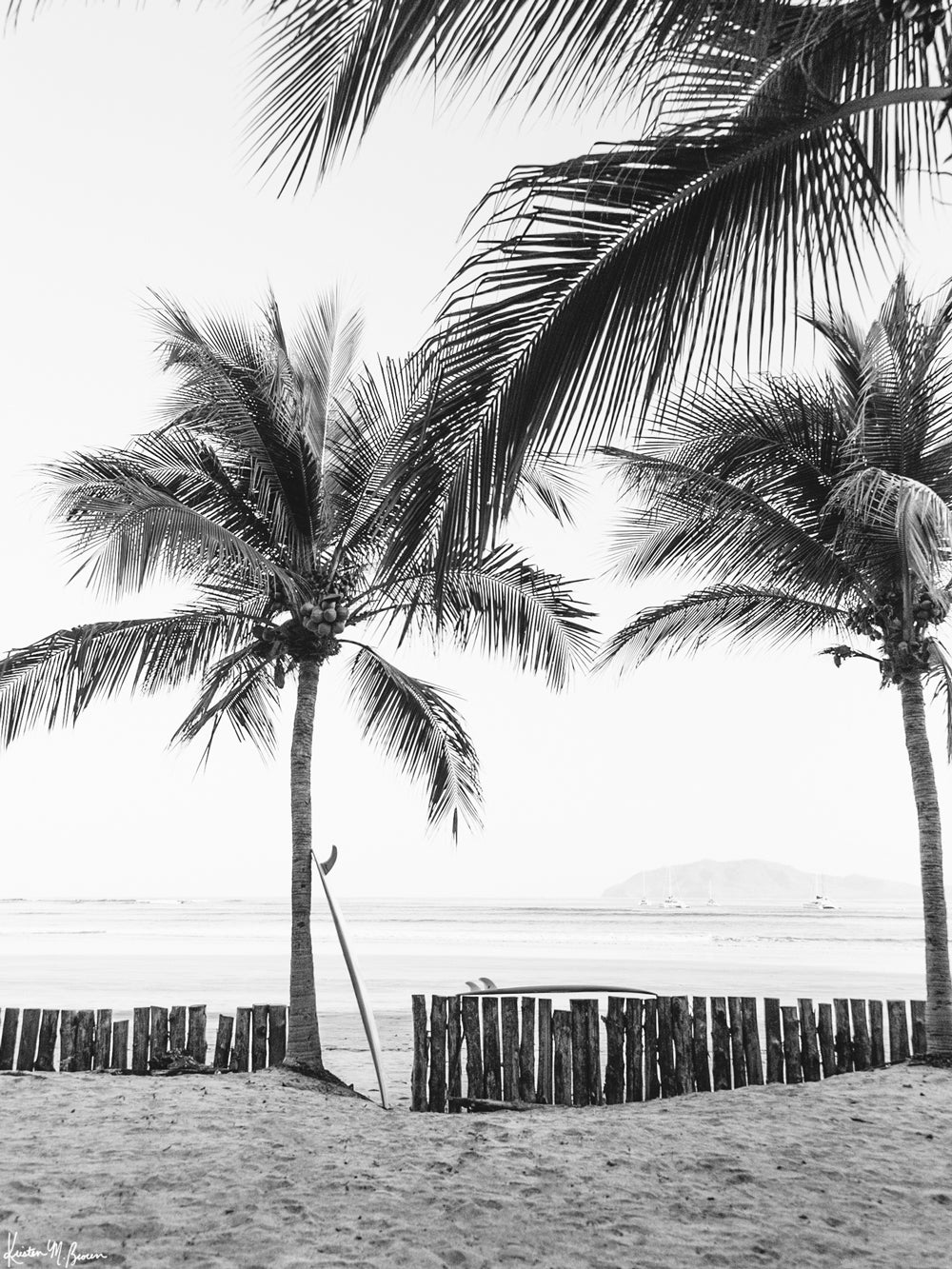 Instantly transport yourself to your surf paradise with this black and white image of your surfboards - your magic sticks - patiently waiting under palm trees for you and your surf amigo/a to paddle out! Black and white image of two Robert August surfboards waiting to paddle out while laying under palm trees in Costa Rica. &quot;Magic Sticks&quot; palm tree surf print photographed by Kristen M. Brown of Samba to the Sea for The Sunset Shop.