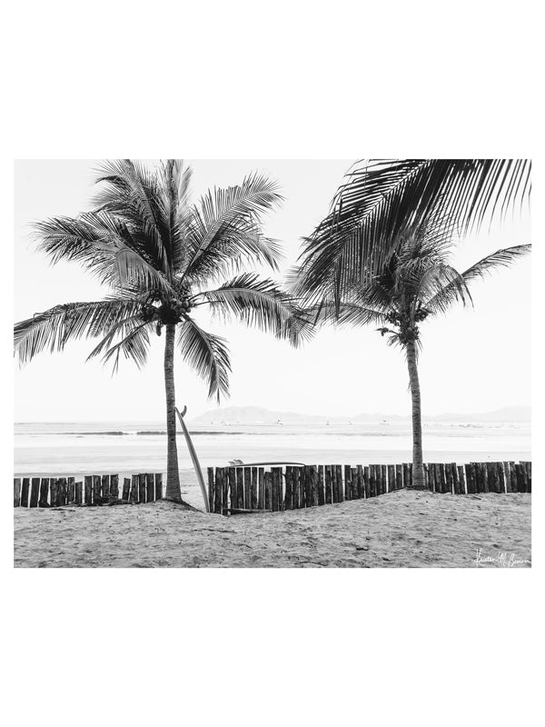 Instantly transport yourself to your surf paradise with this black and white image of your surfboards - your magic sticks - patiently waiting under palm trees for you and your surf amigo/a to paddle out! Black and white image of two Robert August surfboards waiting to paddle out while laying under palm trees in Costa Rica. "Magic Sticks" palm tree surf print photographed by Kristen M. Brown of Samba to the Sea for The Sunset Shop.