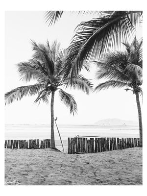 Instantly transport yourself to your surf paradise with this black and white image of your surfboards - your magic sticks - patiently waiting under palm trees for you and your surf amigo/a to paddle out! Black and white image of two Robert August surfboards waiting to paddle out while laying under palm trees in Costa Rica. "Magic Sticks" palm tree surf print photographed by Kristen M. Brown of Samba to the Sea for The Sunset Shop.