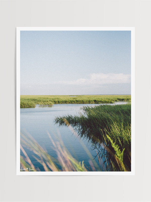 Marsh Afternoons