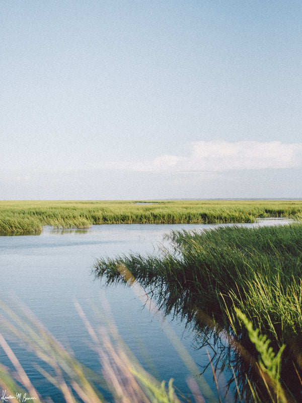 Marsh Afternoons - Framed 8"x10" print @ Java Java Freshfields