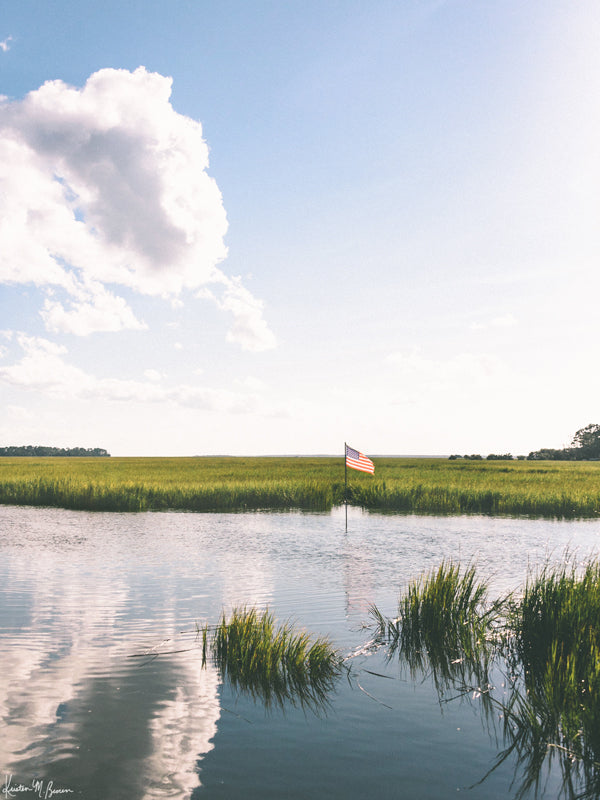 Marsh Liberty - Framed 11"x14" print @ Java Java Freshfields