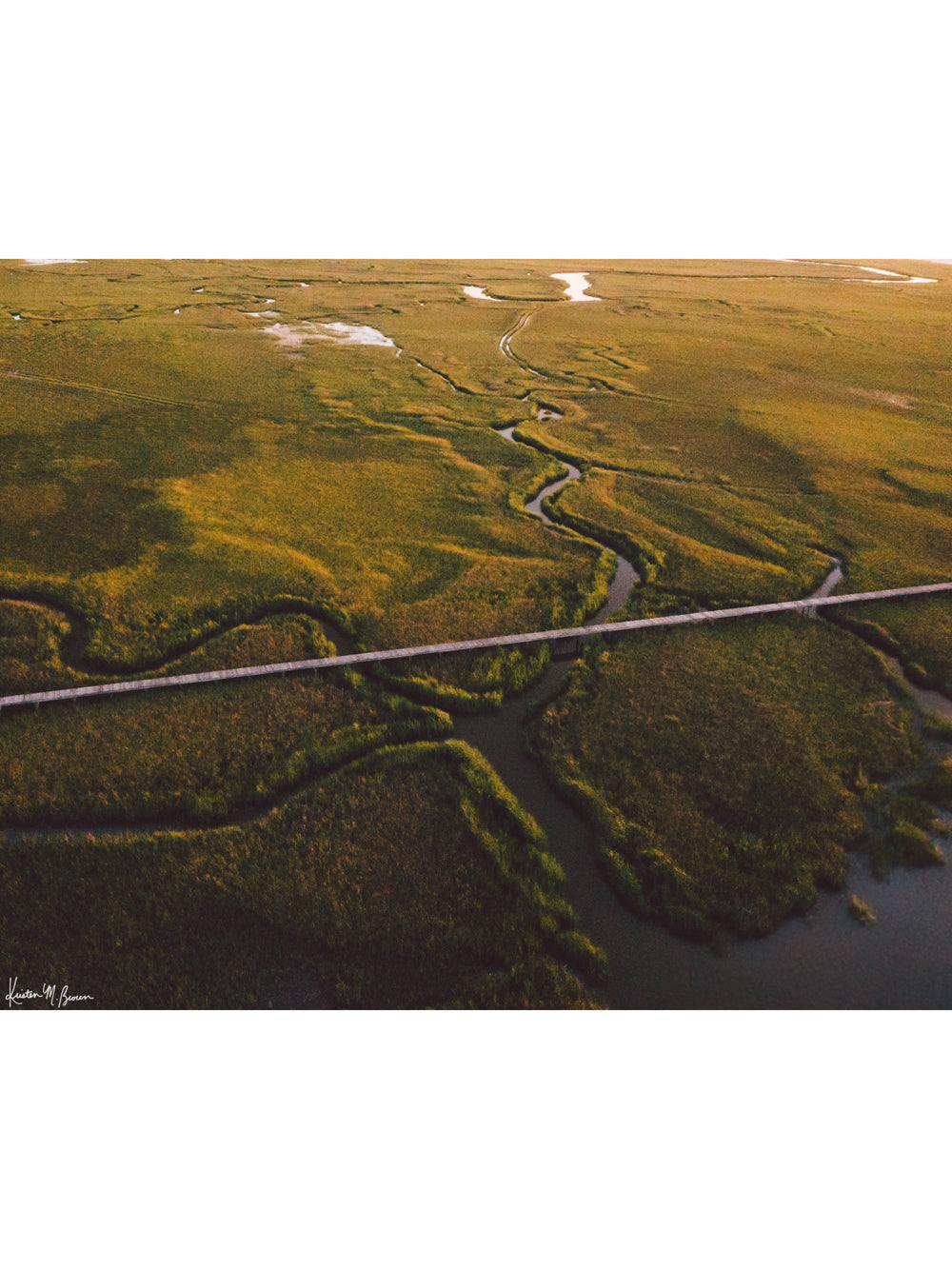 Aerial photograph of boardwalk through the marsh in the early morning sunrise light. "Marsh Walk" photographed by Kristen M. Brown, Samba to the Sea.